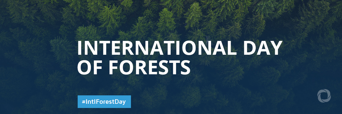 International Day of Forests International Day of Forests