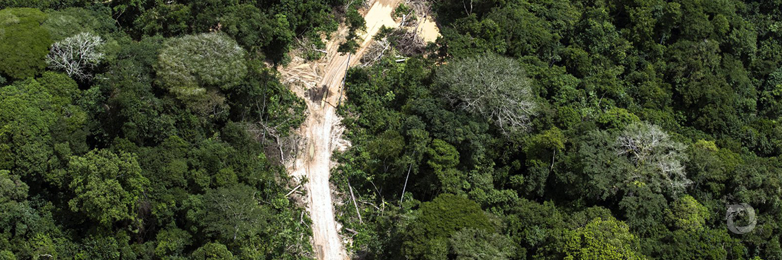 Forest cover to protect livelihoods Forest cover to protect livelihoods