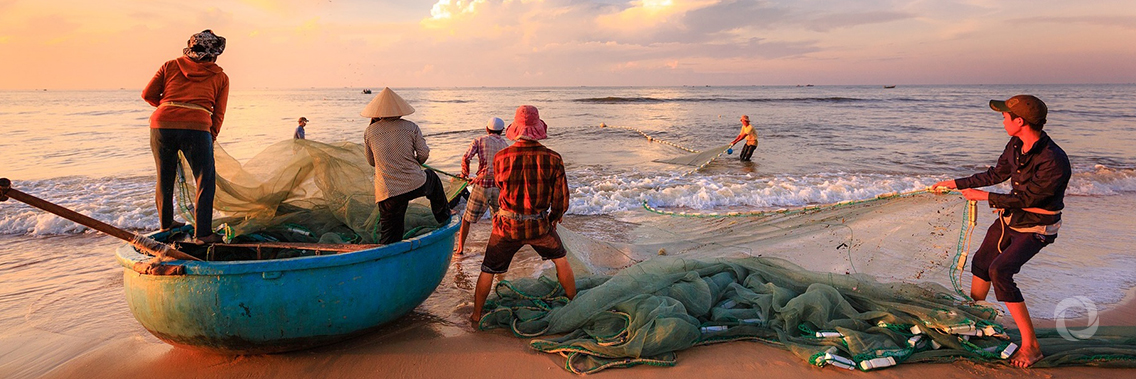 New Iceland-FAO partnership focuses on fisheries and Blue Growth New Iceland-FAO partnership focuses on fisheries and Blue Growth