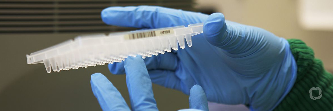 Hunting for viruses in Sierra Leone with the help of nuclear technology