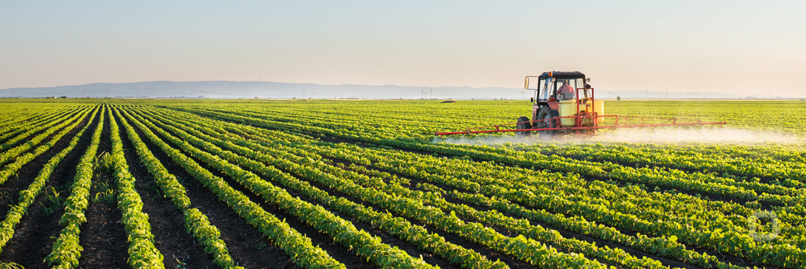 Building resilience in Egypt's agriculture sector through an investment of $37 million from the United States