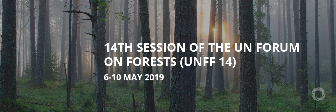 14th Session of the UN Forum on Forests (UNFF 14)