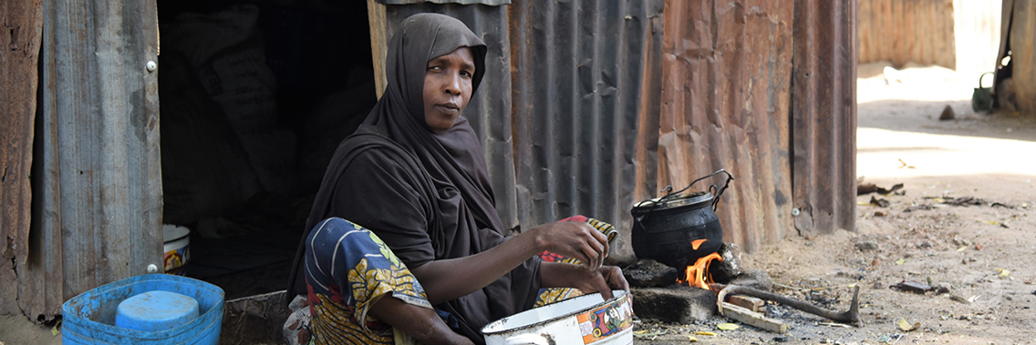 Japan partners with WFP to build resilience of conflict-affected Nigerians Japan partners with WFP to build resilience of conflict-affected Nigerians