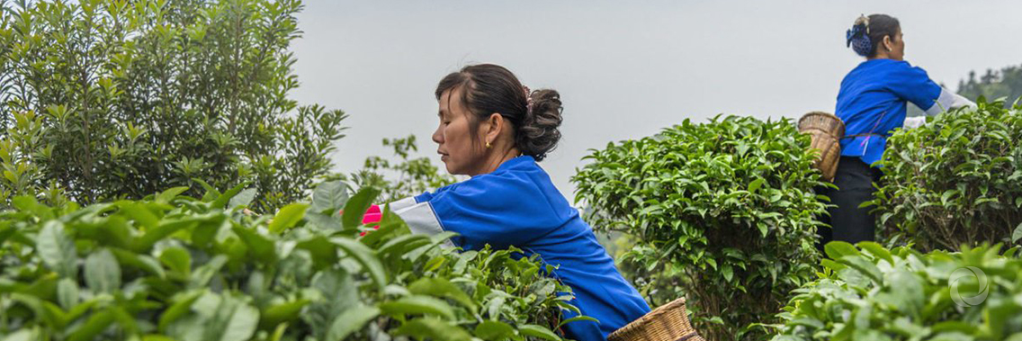 Support from Alibaba Foundation empowers UN Women flagship programmes Support from Alibaba Foundation empowers UN Women flagship programmes