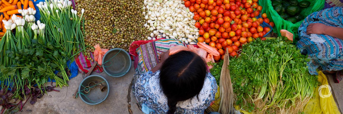 FAO and Global Alliance for Improved Nutrition to scale up joint efforts targeting healthy diets