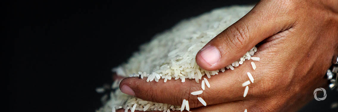 WFP ships China's contributions to Democratic Republic of Congo, Somalia and South Sudan WFP ships China's contributions to Democratic Republic of Congo, Somalia and South Sudan