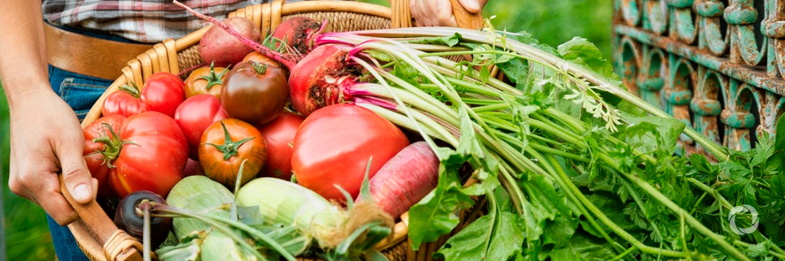 EU and ADA complete joint initiative for organic agriculture in Armenia EU and ADA complete joint initiative for organic agriculture in Armenia