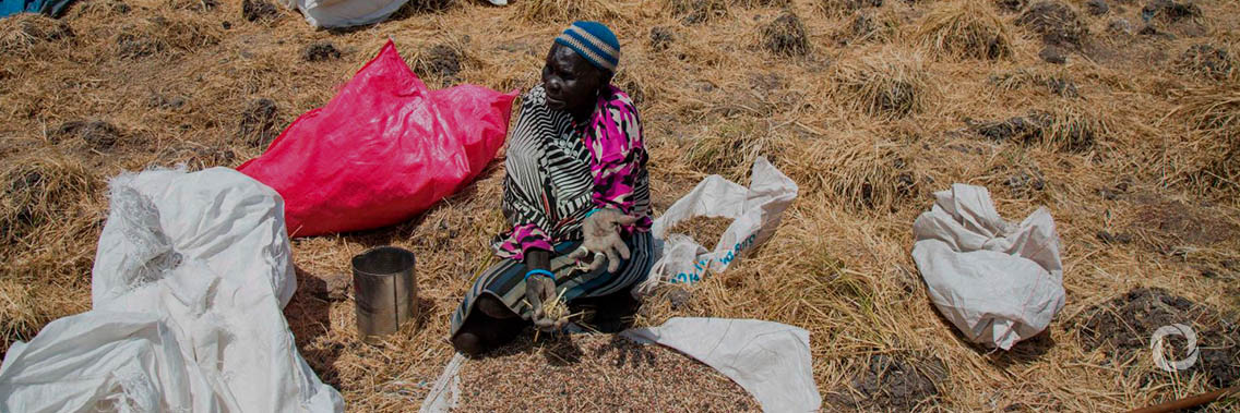 South Sudan: Thousands receive food, thanks to emergency response project supported by the African Development Bank, WFP South Sudan: Thousands receive food, thanks to emergency response project supported by the African Development Bank, WFP