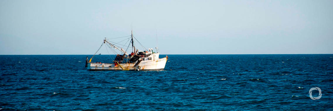 Thousands to benefit from stronger, sustainable fisheries in Tonga Thousands to benefit from stronger, sustainable fisheries in Tonga