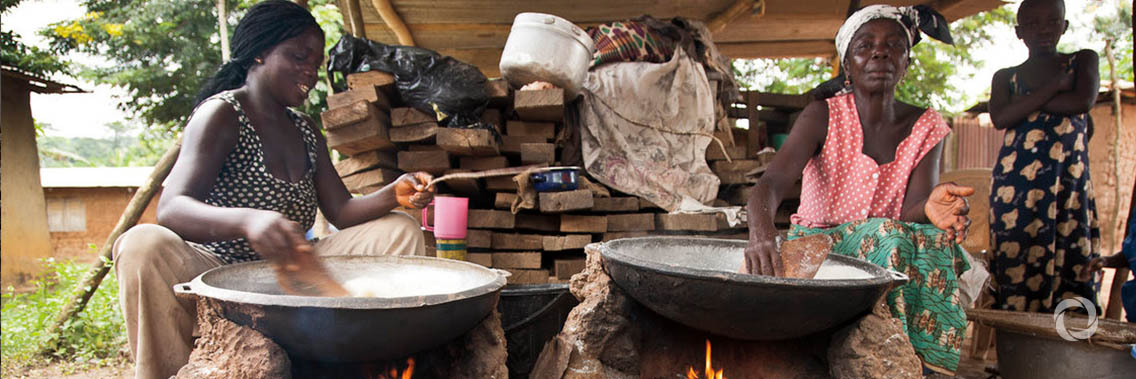 Towards monitoring sustainable use of biomass in Ethiopia and Kenya Towards monitoring sustainable use of biomass in Ethiopia and Kenya