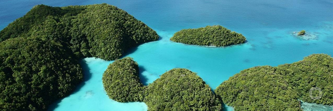 Reliable internet connection is helping promote tourism in Palau