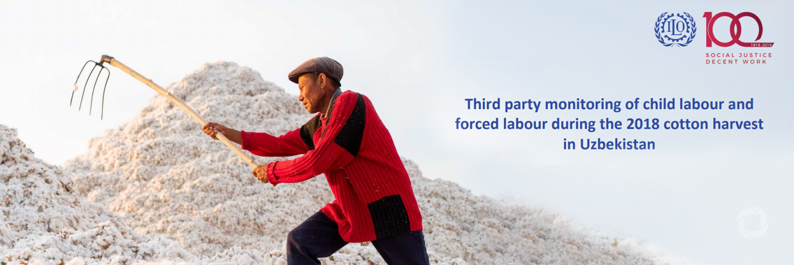 Activists welcome progress towards eradication of forced labour, child labour in Uzbekistan