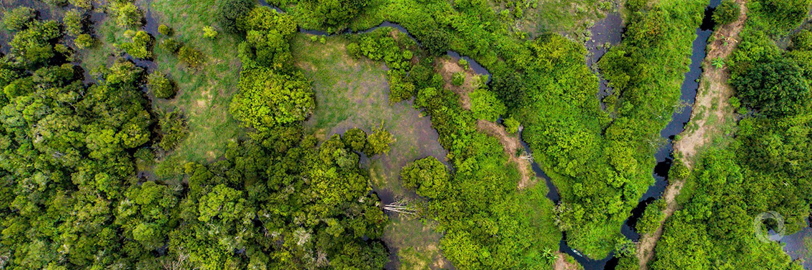 World calls for urgent action on peatlands