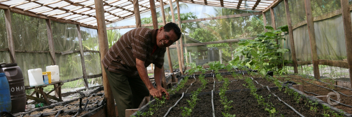 Guyana gets US$20M grant to develop food sector Guyana gets US$20M grant to develop food sector