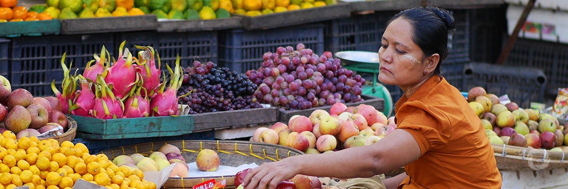 IFC Provides a $3 million loan to SLCM Limited to boost farmers’ livelihoods, reduce post-harvest losses in Myanmar