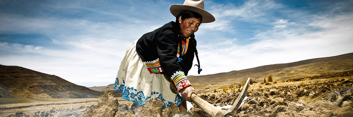 The Green Climate Fund allocates $25 million to support FAO climate resilience project in Paraguay The Green Climate Fund allocates $25 million to support FAO climate resilience project in Paraguay
