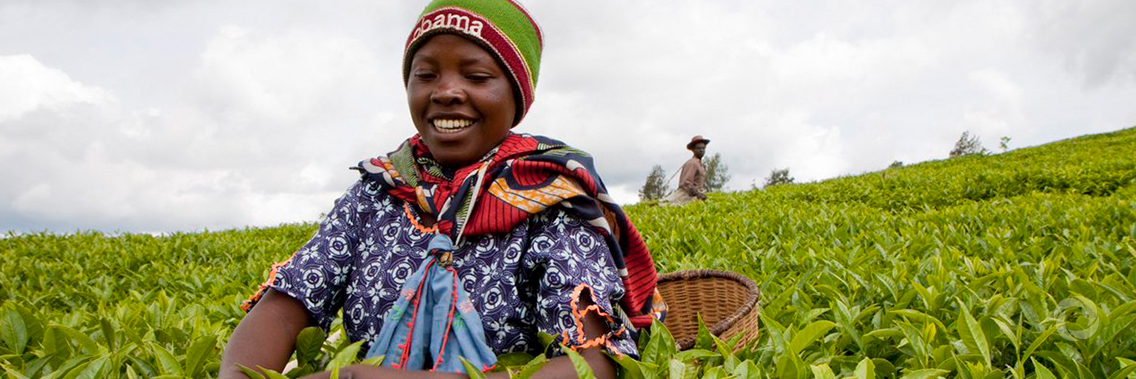 Togo: African Development Bank helps to create 35,000 jobs in agricultural SMEs Togo: African Development Bank helps to create 35,000 jobs in agricultural SMEs