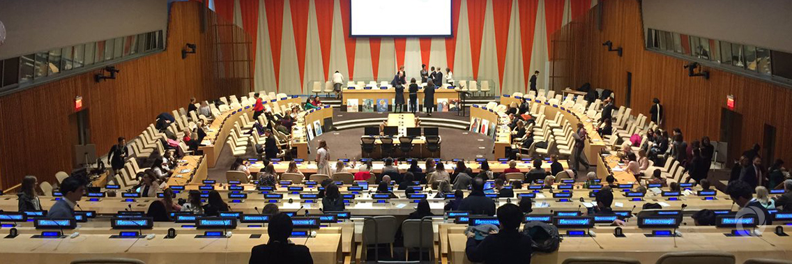 ECOSOC Forum on Financing for Development: Italy's role ECOSOC Forum on Financing for Development: Italy's role