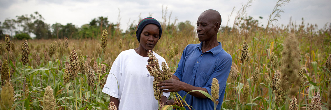 African Development Bank, partners support smallholder farmers with 17 new project grants
