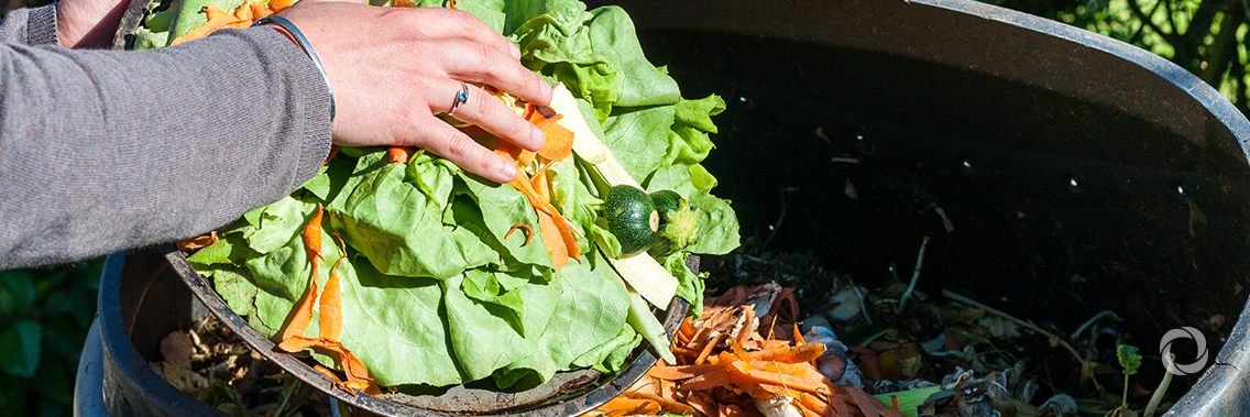 Commission adopts common methodology to measure food waste across the EU Commission adopts common methodology to measure food waste across the EU