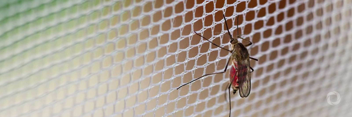 Global Fund congratulates Algeria and Argentina for eliminating malaria Global Fund congratulates Algeria and Argentina for eliminating malaria