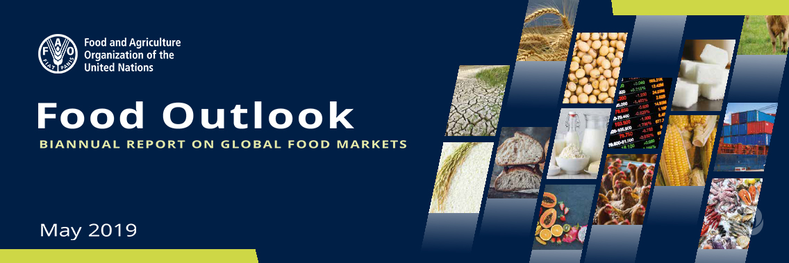 Global food import bill set to decline amid abundant supplies