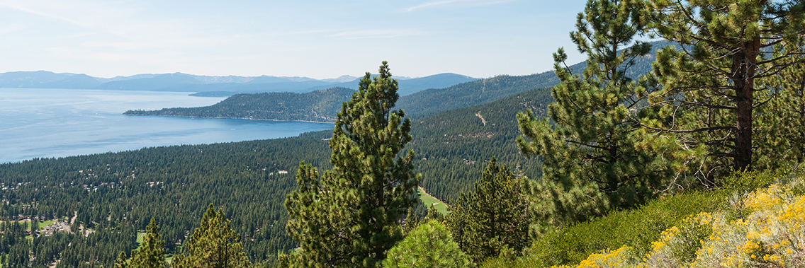 Turkey integrates climate change in its forest policy Turkey integrates climate change in its forest policy