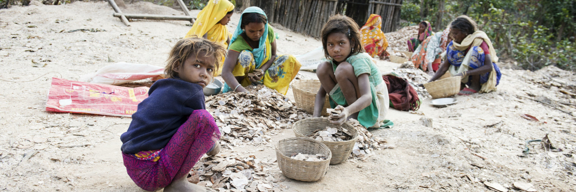 Child labour in mining, poor working conditions take centre stage in inter-regional meeting Child labour in mining, poor working conditions take centre stage in inter-regional meeting