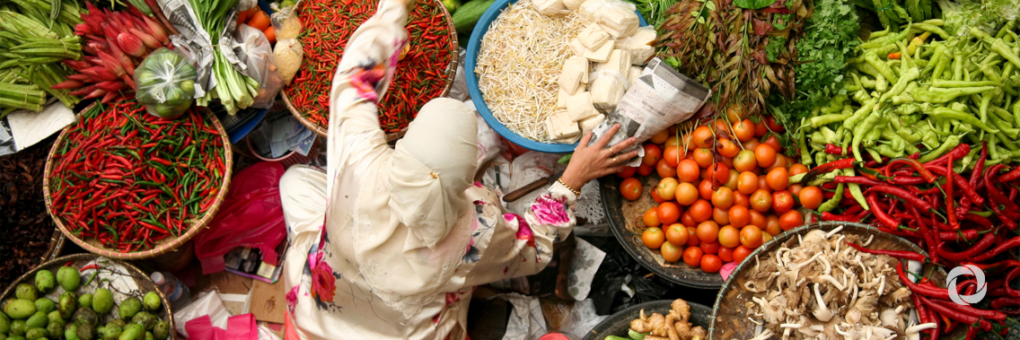 FAO’s goal: Healthy food for all, based on sustainable agricultural development FAO’s goal: Healthy food for all, based on sustainable agricultural development
