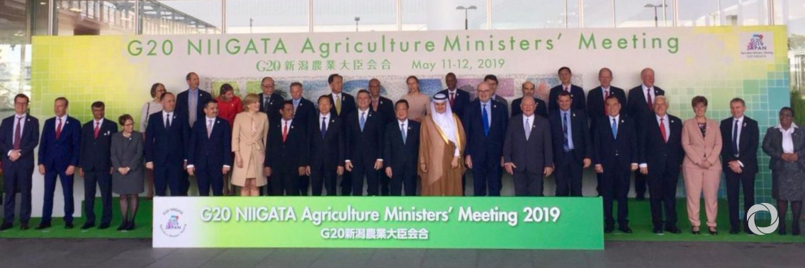 FAO chief warns of the ‘globalization of obesity’, urges G20 to ensure healthy diets through regulation FAO chief warns of the ‘globalization of obesity’, urges G20 to ensure healthy diets through regulation