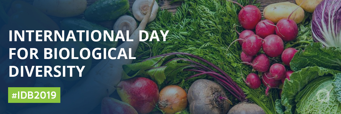 International Day for Biological Diversity International Day for Biological Diversity