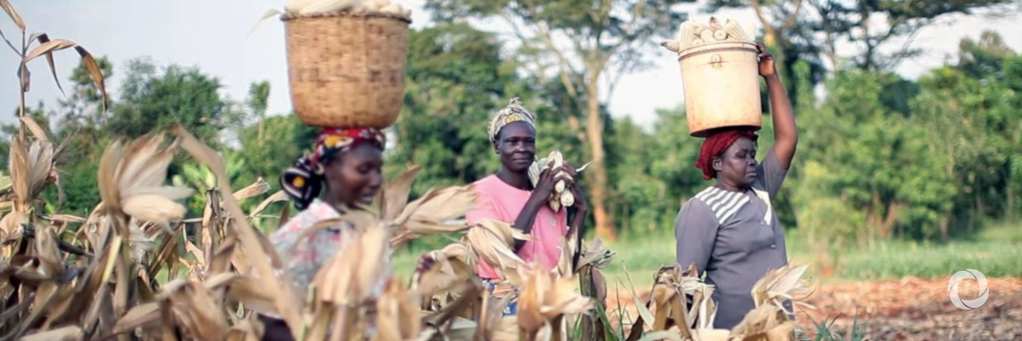 Increasing productivity and purchasing power in Kenya Increasing productivity and purchasing power in Kenya