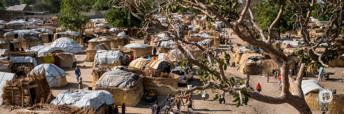 Japan-funded emergency response in Niger