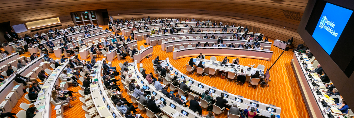 World Health Assembly 72 Update World Health Assembly 72 Update