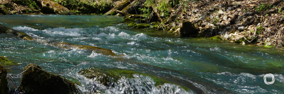 IAEA develops new method to track sources of water pollution IAEA develops new method to track sources of water pollution