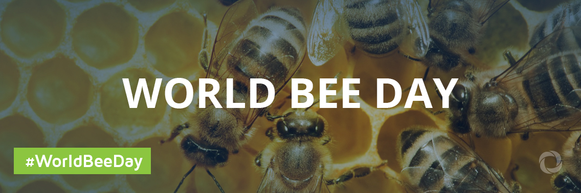 World Bee Day