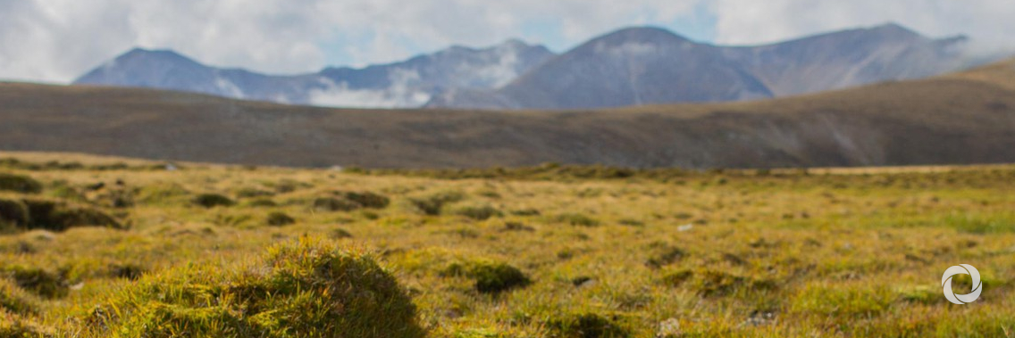 France: The EIB partners with CDC Biodiversité to protect biodiversity and promote nature conservation France: The EIB partners with CDC Biodiversité to protect biodiversity and promote nature conservation