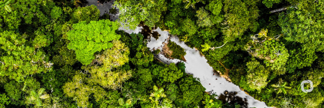 Preserving biodiversity vital to reverse tide of climate change Preserving biodiversity vital to reverse tide of climate change