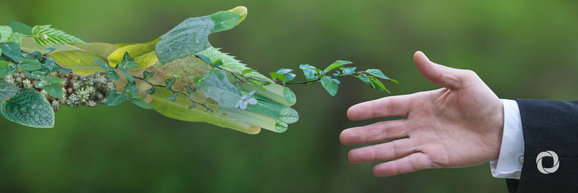Japan and Austria to support private sector climate change investments on the continent