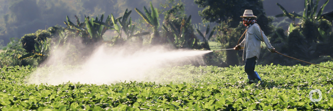 FAO widens its treaty work on pesticide trade information exchange