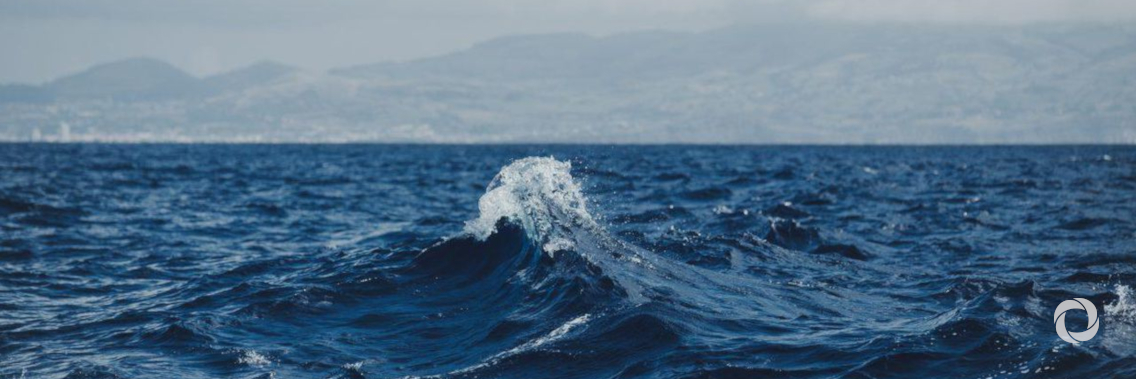 UN Decade of Ocean Science gears up UN Decade of Ocean Science gears up