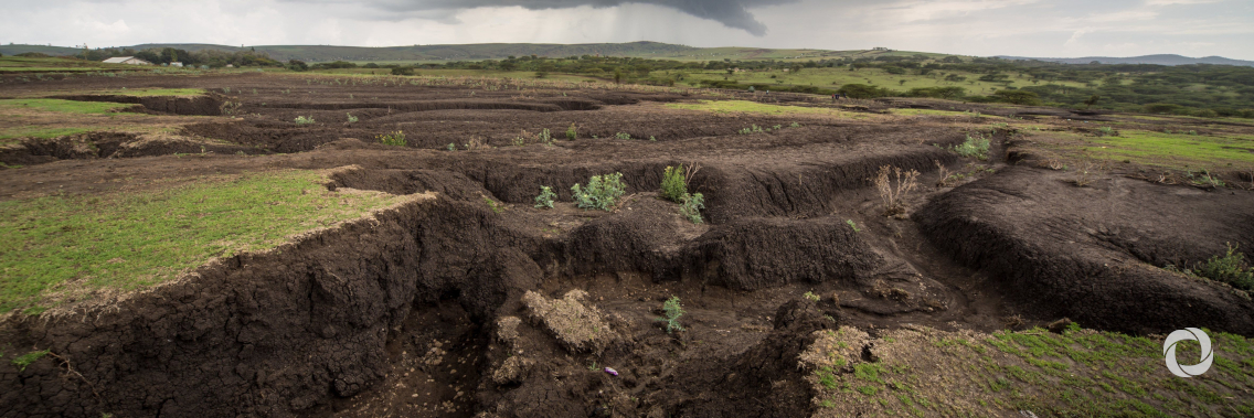 Save our soils: Finding ways to stop erosion Save our soils: Finding ways to stop erosion