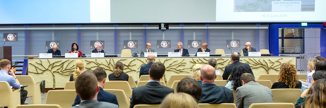 FAO Director-General calls for greater promotion of sustainable, local diets FAO Director-General calls for greater promotion of sustainable, local diets