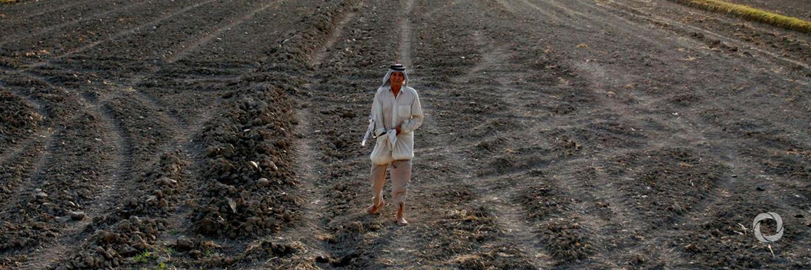 Through FAO, the EU will provide €15 million for vulnerable farmers Through FAO, the EU will provide €15 million for vulnerable farmers