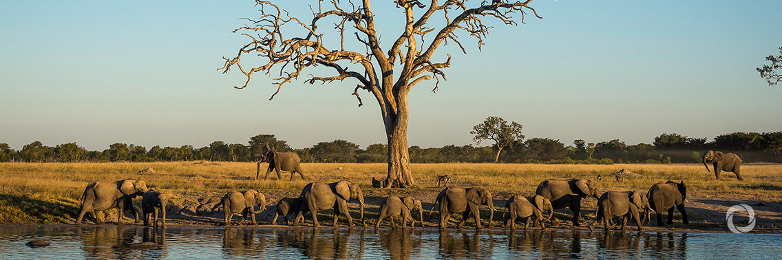 Communities step up to claim their rightful place in Africa’s wildlife economy Communities step up to claim their rightful place in Africa’s wildlife economy