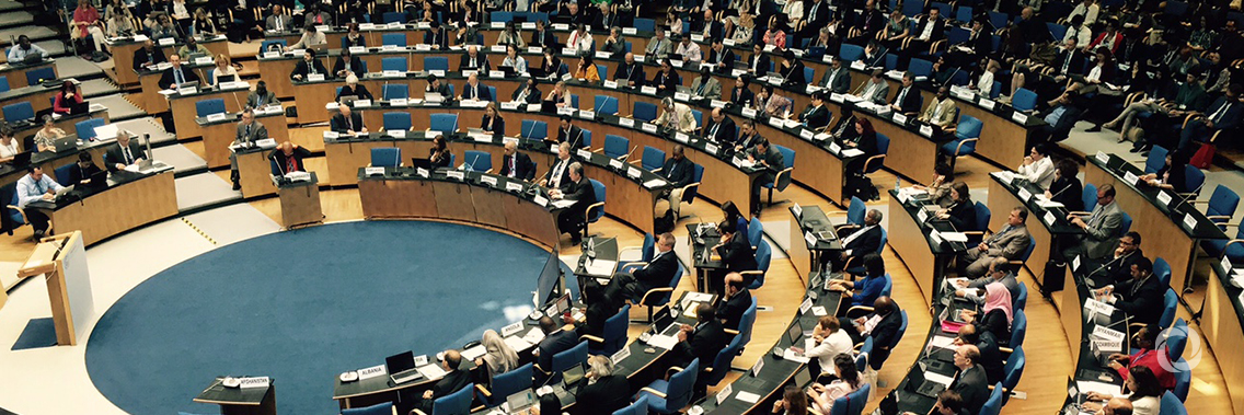 19 developed countries showcase climate action in Bonn