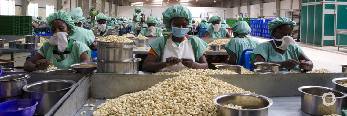 IFC provides $2.5 million for SMEs and agribusiness in Haiti IFC provides $2.5 million for SMEs and agribusiness in Haiti