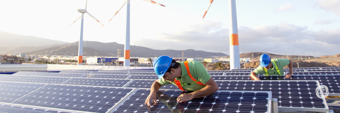 A sustainable greener future needs green employment skills A sustainable greener future needs green employment skills
