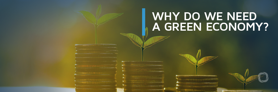 DevelopmentAid vlogging series: “We need a green economy, not grey economy” DevelopmentAid vlogging series: “We need a green economy, not grey economy”