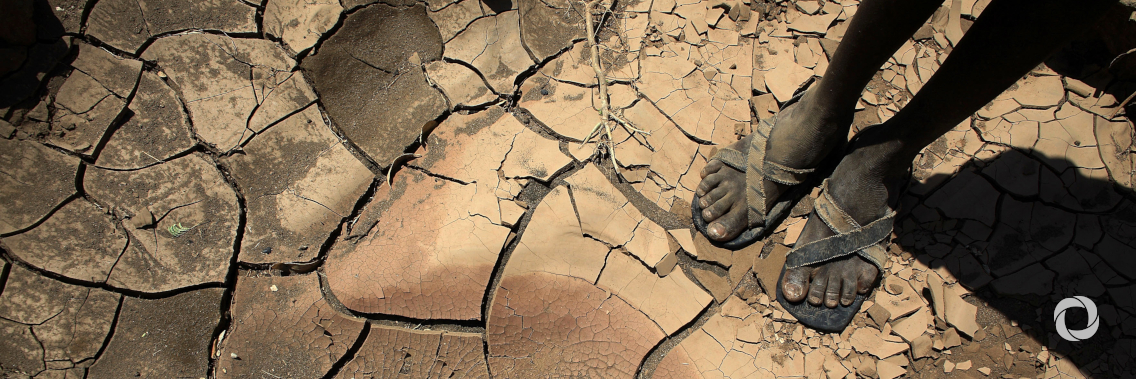 World faces ‘climate apartheid’ risk, 120 more million in poverty: UN expert World faces ‘climate apartheid’ risk, 120 more million in poverty: UN expert